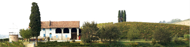 Veduta panoramica di un vigneto con casale 